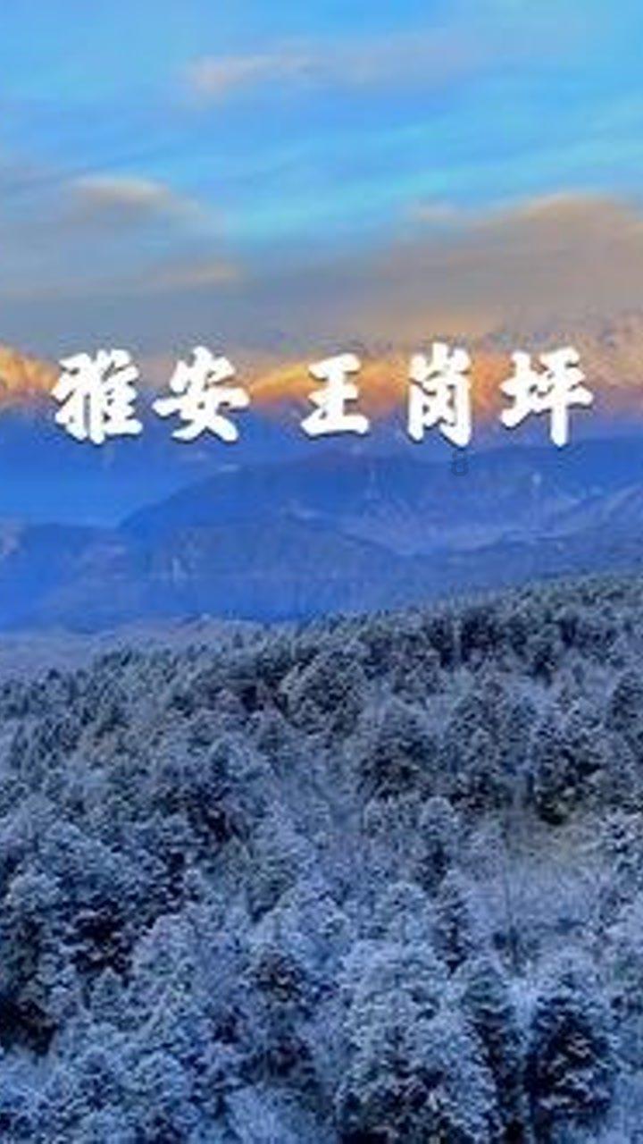 怎样正确处理大学生的恋爱关系?游戏画面